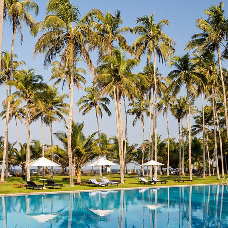 Sri Lanka Beach Resorts The Blue Water Hotel And Spa Wadduwa Official Site