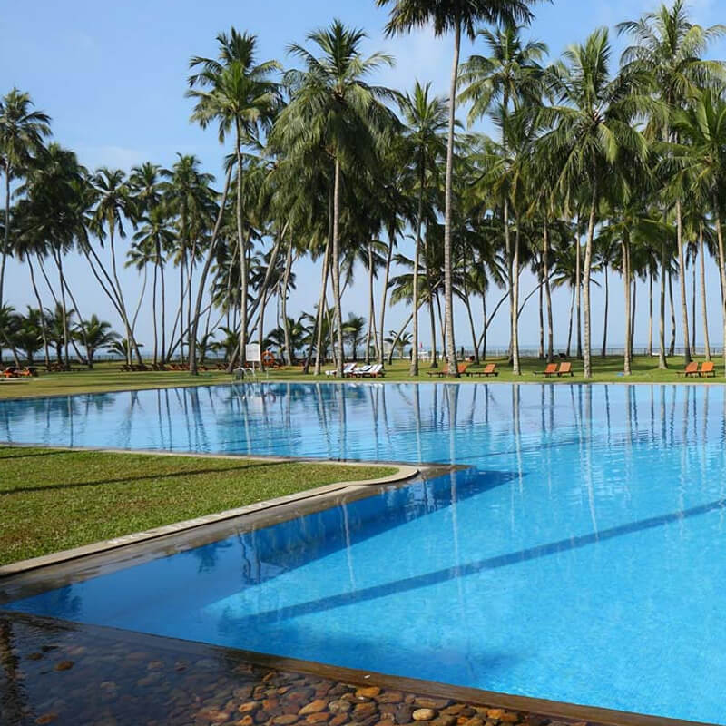 Sri Lanka Beach Resorts The Blue Water Hotel And Spa Wadduwa Official Site